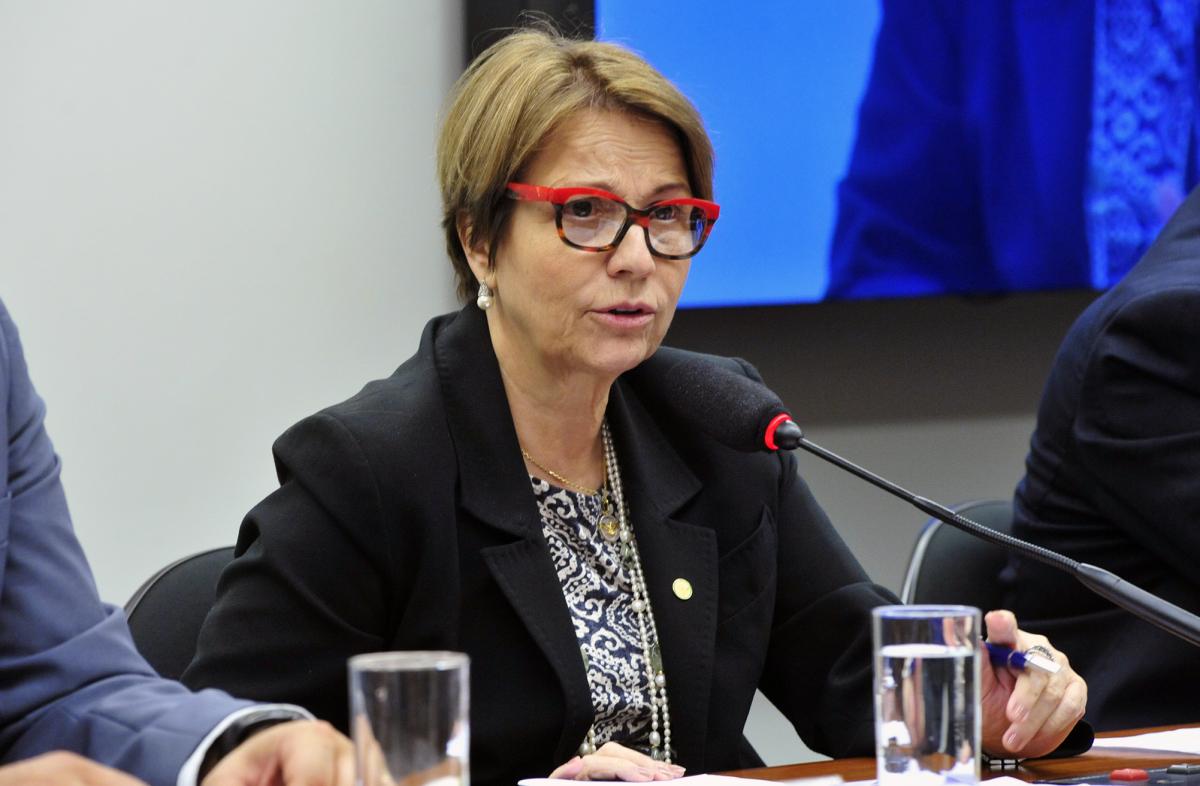 Bolsonaro exonera Onyx e Tereza para votarem em Arthur Lira na presidência da Câmara