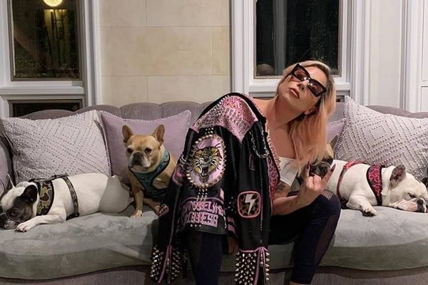Buldogues de Lady Gaga são roubados durante passeio