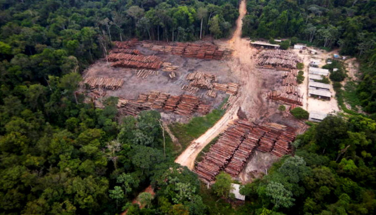 Oposição pede CPI para investigar gestão de Ricardo Salles no Meio Ambiente