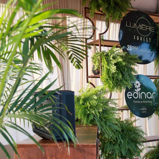 Imersão Verde: Edinar Flores e Eventos traz os encantos da floresta para a Lumiére Forest