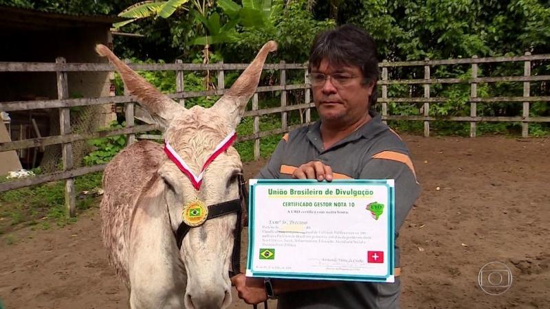 TCE apura quais prefeitos piauienses pagaram 'premiação fake' com recursos públicos