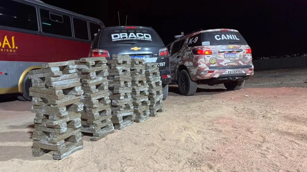 SSP-PI apreende 250 quilos de drogas e prende dois suspeitos em operação em Bom Jesus