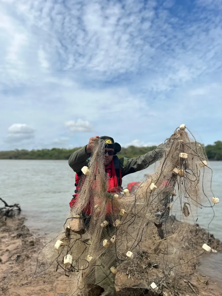 Período de defeso da piracema começa no dia 15 de novembro no Piauí