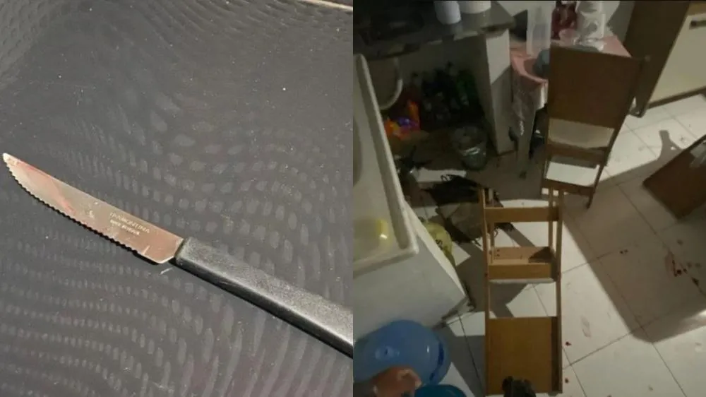Enteado esfaqueia padrasto ao defender a mãe durante briga familiar em Parnaíba