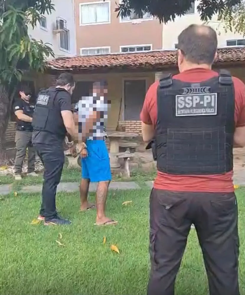 (Foto: divulgação SSP/ PI)