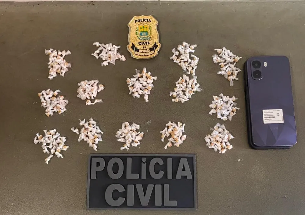 Foto: Divulgação SSP/PI