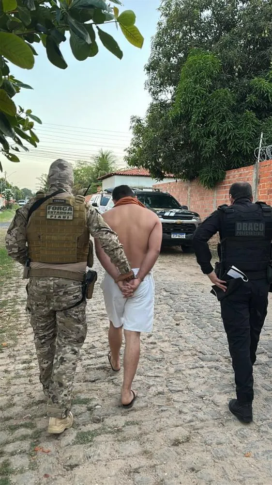 (Foto: Divulgação SSP/PI)