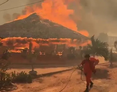 Incêndio atinge sítio e mata galinhas em Bom Jesus