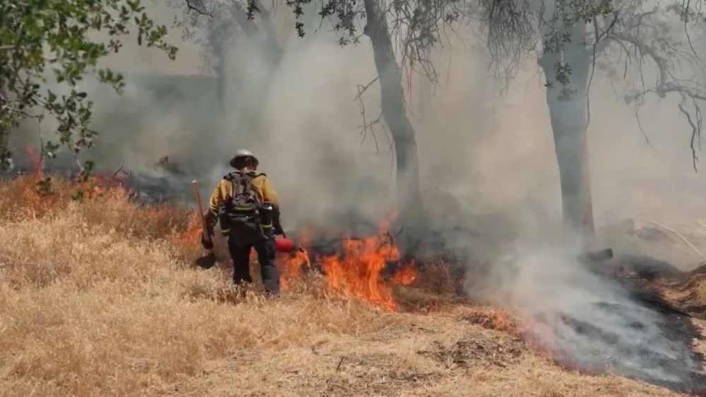 Incêndio é crime: campanha alerta sobre os riscos da prática