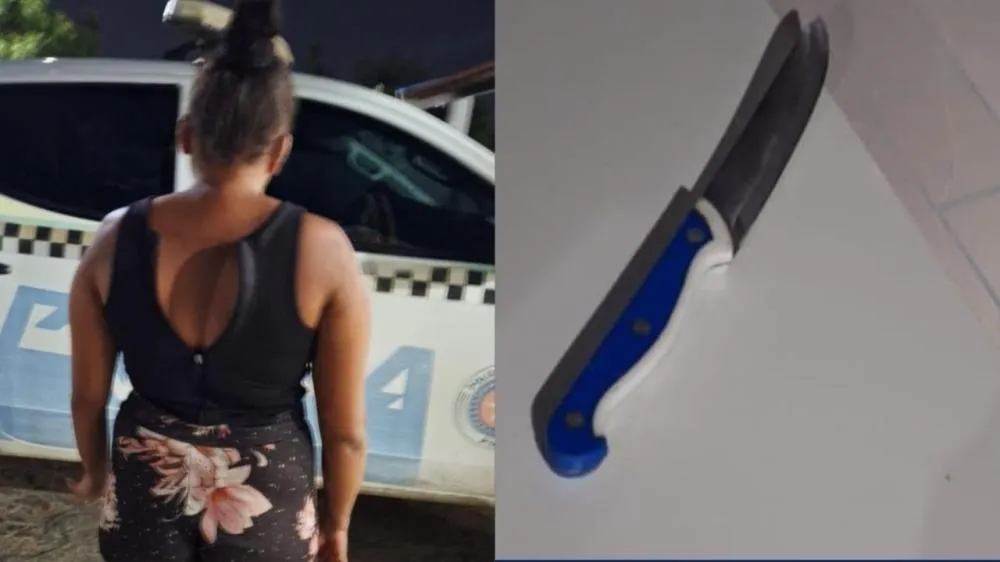 Mulher é presa suspeita de esfaquear companheiro em Pio IX