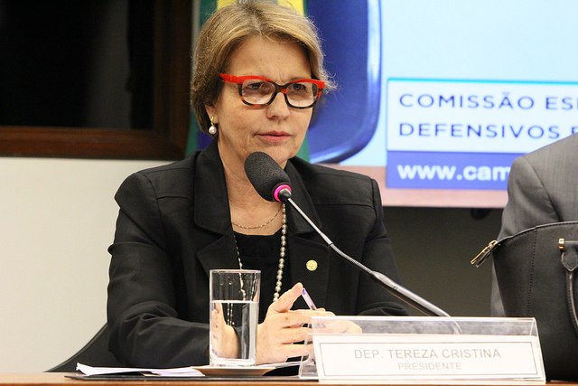 Ministra da Agricultura cumpre agenda em Parnaíba nesta quinta-feira