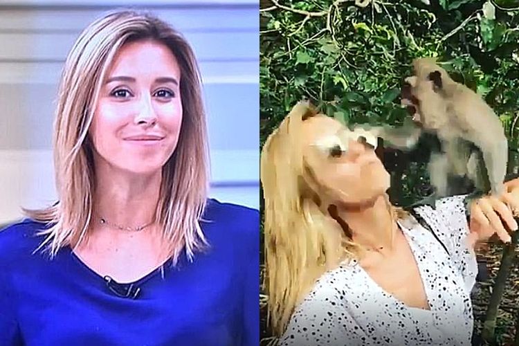 Ex-apresentadora da Globo é atacada por macaco durante folga