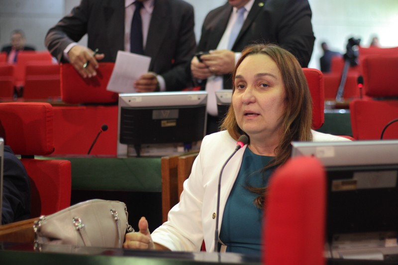 Flora Izabel defende criação de hospital público para animais