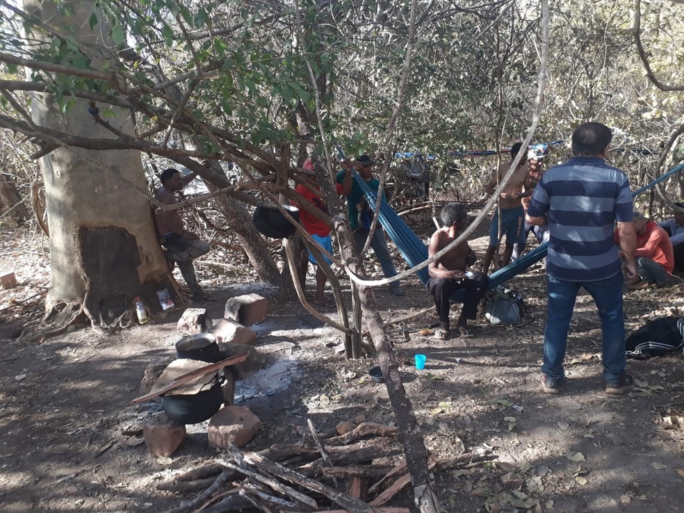 Trabalhadores dormiam sob lonas plásticas ou ao relento em campo de extração de carnaúba no interior do Piauí.Foto: Divulgação