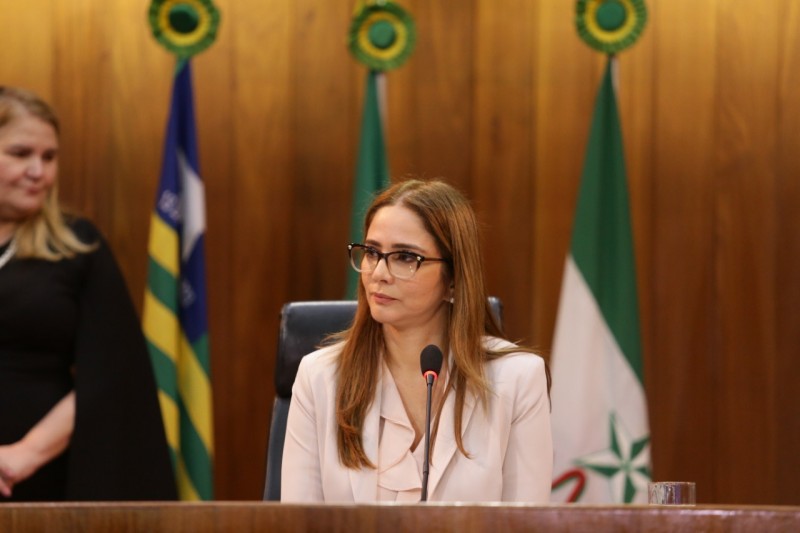 Deputados aprovam a criação da Frente Parlamentar em Defesa da Primeira Infância 