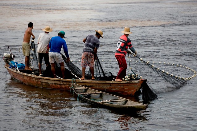 Medida Provisória cria auxílio emergencial para pescadores atingidos por mancha de óleo