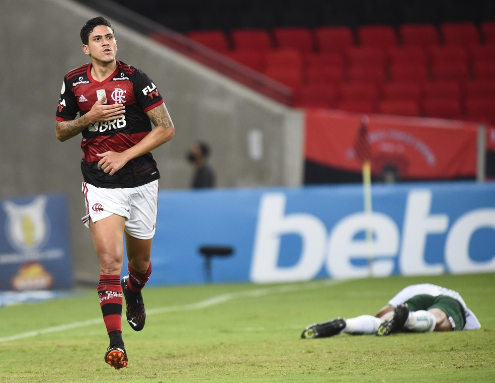 Flamengo vence em casa e consegue a liderança pela primeira vez no Brasileiro